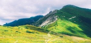 Sharon Lock PSYCH-K Facilitator